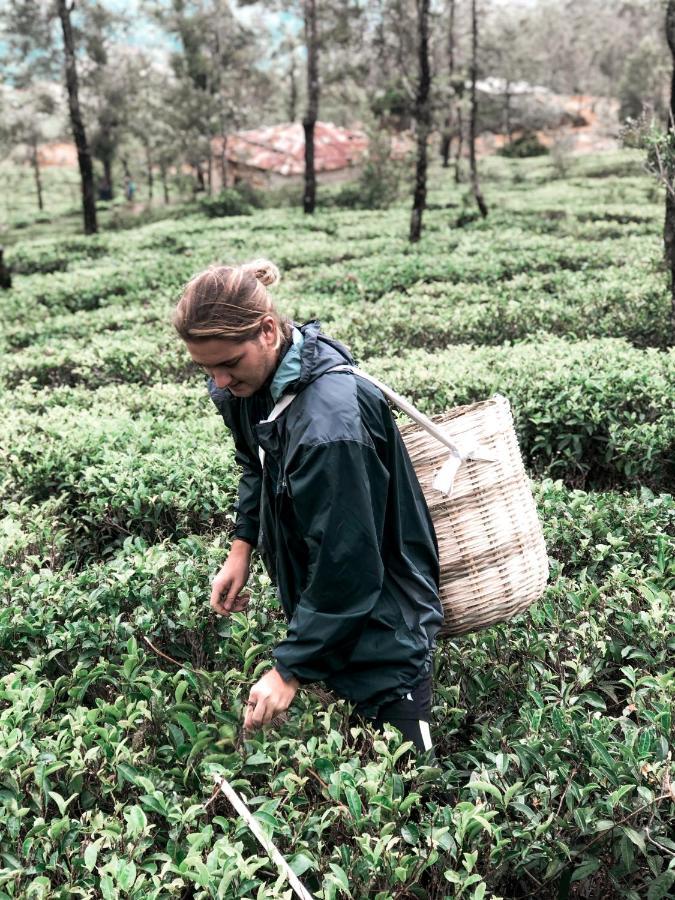 Lost & Found Hostels - Mandaramnuwara Mandaran Newara Экстерьер фото